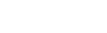 IT Excelsus Logo